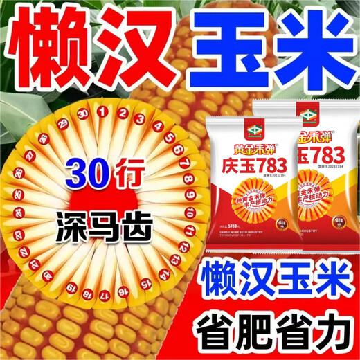 Золотая бомба высокоурожайное семя кукурузы Qingyu 783 аутентичный оригинальный новый продукт устойчивая к насекомым красная кожа Национальный одобренный сорт Qingyu 783 большая упаковка первого поколения 5783 зерна 13 мешков золотых кукурузных палочек 6 бутылок