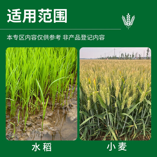 0.01% 24 epibrassinolide lactone strong seedling plant preservation flower fruit pesticide plant regulator 0.01% brassinolide 1 liter * 1 bottle