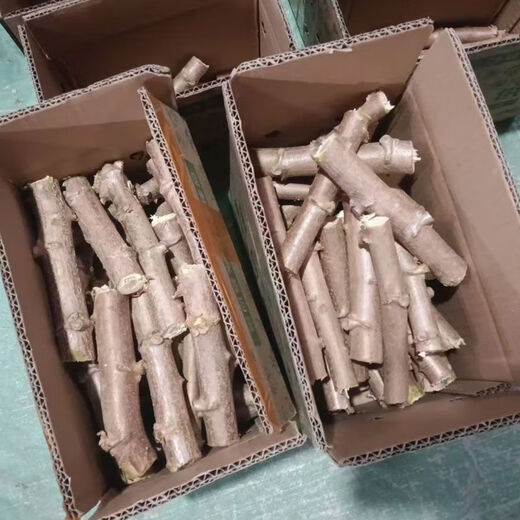 Yishenghuo authentic Guangxi Huanan No. 9 yellow-heart cassava seedlings, preferred No. 9 yellow-fleshed cassava seedlings, 100 yellow-heart cassava seedlings