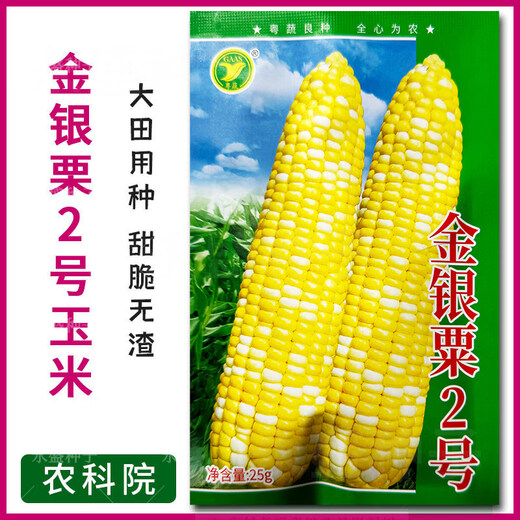 Академия сельскохозяйственных наук Ванюаньсин Суперсладкая золотая и серебряная грудь № 2 Семена кукурузы Четыре сезона Высокая урожайность Очень крупные фрукты Семена сладкой кукурузы Guangliangtian № 27 Сладкая кукуруза Оригинальная 400 г Очень сладкая большая палочка Высокая урожайность
