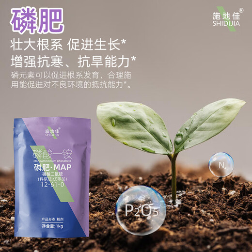 Shidijia Nitrogen Phosphorus Fertilizer Compound Fertilizer Ammonium Dihydrogen Phosphate Monoammonium Phosphate Fruit Tree and Vegetable Foliar Fertilizer Large Element Water-soluble Fertilizer Phosphate Fertilizer 1kg*10 Bags 1 Box