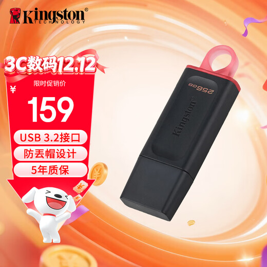 金士顿（Kingston）256GB USB3.2 Gen 1 U盘 DTX 大容量U盘 时尚设计 轻巧便携 学习办公投标电脑车载通用
