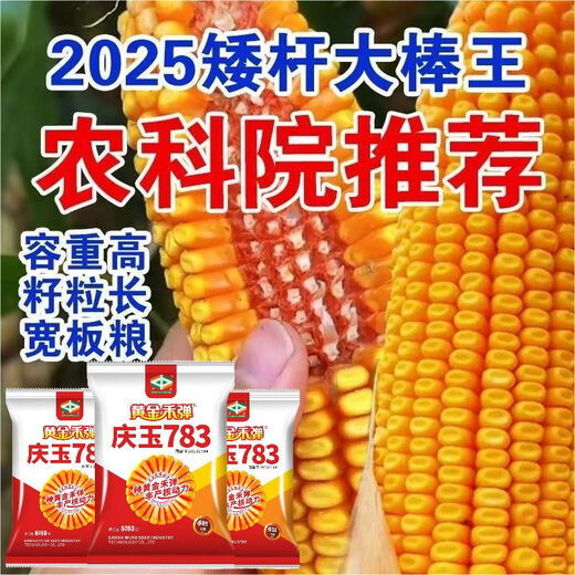 Золотая бомба высокоурожайное семя кукурузы Qingyu 783 аутентичный оригинальный новый продукт устойчивая к насекомым красная кожа Национальный одобренный сорт Qingyu 783 большая упаковка первого поколения 5783 зерна 13 мешков золотых кукурузных палочек 6 бутылок