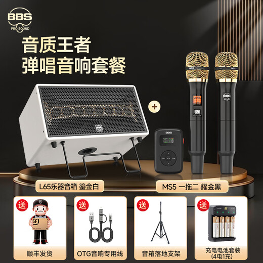 BBSMS5 Wireless Microphone Home KTV Singing Stage Hosting Speech K Song Conference Speaker Audio One for Two Microphones MS5 Golden Black BBS L65 Playing and Singing Audio Gilded White Package