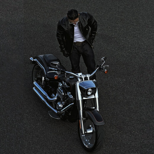 CHEVALPES international first-line brand high-quality Polish tea core horsehide venom leather jacket men's stand-up collar motorcycle jacket retro short tea core horsehide S