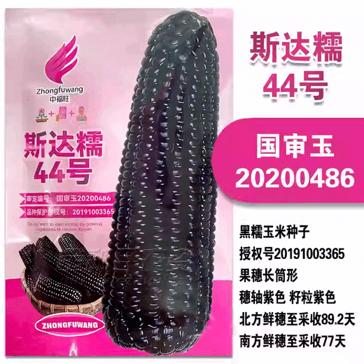 Wangyuanxing раннеспелые семена желтой восковой кукурузы в поле, высокоурожайная и высококачественная желтая восковая кукуруза, ароматная и восковая кожица, тонкие и большие семена кукурузы без остатков, Star 44/100 г, черная липкая кукуруза