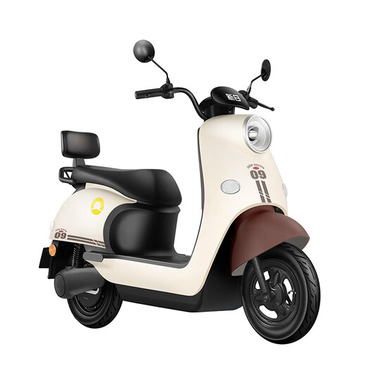 Sunra electric motorcycle Liman self-operated motorcycle 60v 5 lead-acid batteries 76km range large pedal electric car unisex battery car electric motorcycle brown