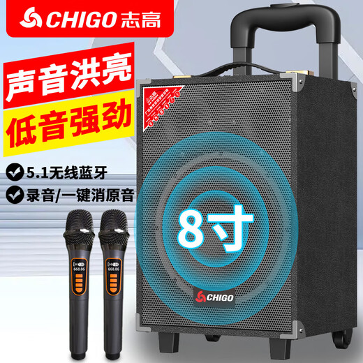 志高（CHIGO）拉杆广场舞音响户外K歌蓝牙音箱专用大音量移动舞台大功率摆摊重低音高端家用移动便携式扩音器 8寸木箱（15寸组合喇叭）+U盘