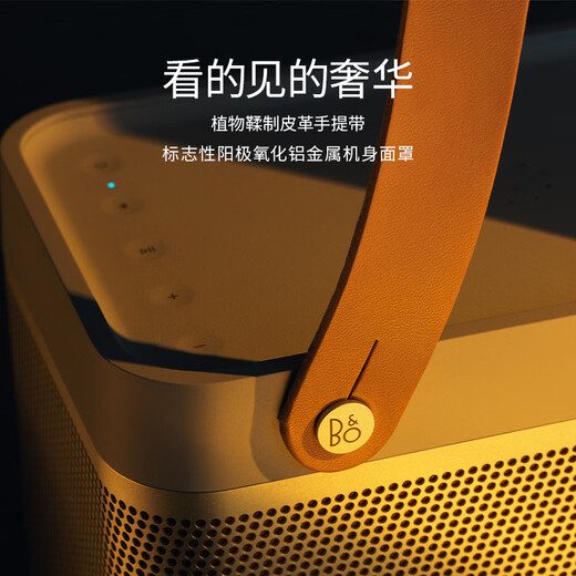 B&O Gong Jun endorses Beolit 20 Bluetooth speaker wireless charging outdoor portable portable B&O audio indoor desktop carbon black government subsidy New Year gift