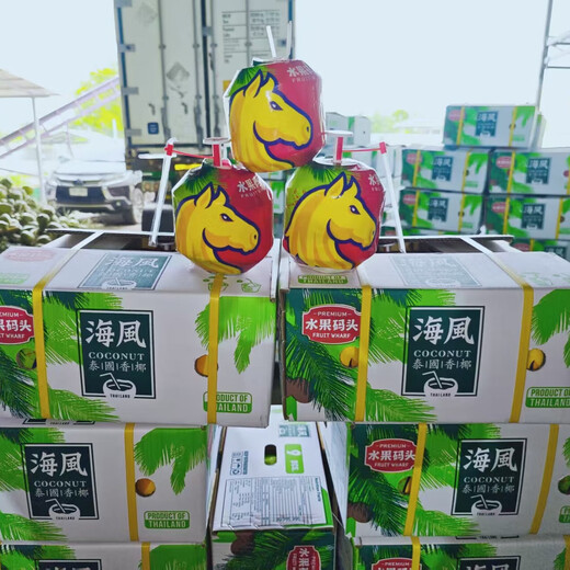 Fruit Pier Thailand Easy to Open Coconut Green Big Fruit Healthy Natural Drink for Pregnant Women and Children Easy to Open Coconut 9 Tablets Original Box Family Pack (Recommended)
