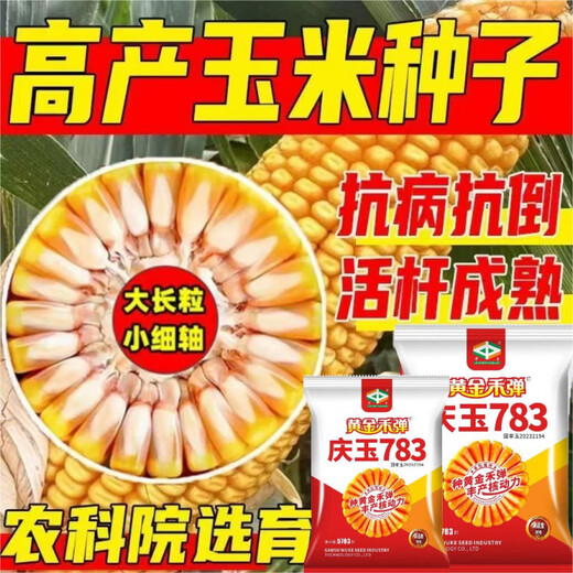 Золотая бомба высокоурожайное семя кукурузы Qingyu 783 аутентичный оригинальный новый продукт устойчивая к насекомым красная кожа Национальный одобренный сорт Qingyu 783 большая упаковка первого поколения 5783 зерна 13 мешков золотых кукурузных палочек 6 бутылок