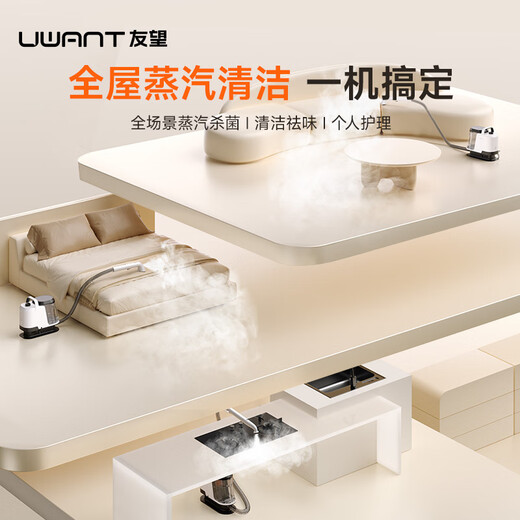 UWANT Große abstrakte Dampfreinigungsmaschine, Sofa-Teppich-Stoff-Reinigungsmaschine, Absaugung, integrierter Milbenentferner, multifunktionale Reinigungsmaschine, keine Notwendigkeit, Vorhänge zu entfernen, Sofa-Matratze, Teppich-Reinigungsmaschine, große abstrakte Dampf