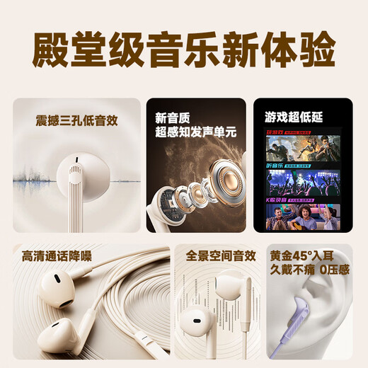 Lenovo wired headphones HIFI sound quality high-resolution audio with microphone noise reduction live broadcast karaoke singing music sports semi-in-ear gaming computer headphones type-c YF01 white