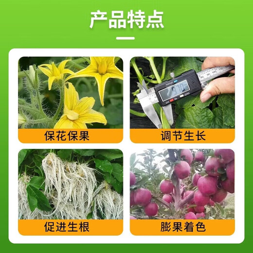Zheng's Chemical 98% Sodium Nitrophenolate Original Powder Plant Growth Regulator Rooting and Seedling Agricultural Synergy Growth-Promoting Regulator 98% Amino Fresh Fat 1KG
