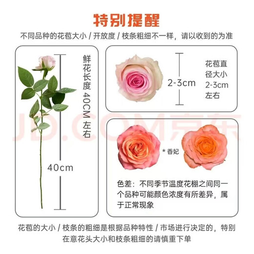 Jingdong Flowers Boutique Soilless Cultivation Roses in Random Colors 20 Pack New Year's Eve and New Year's Day New Year's Eve Gifts 45-50CM Straight from the Source