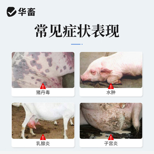 Huazhu Veterinary Medicine Penicillin Sodium Injection Veterinary Medicine Anti-inflammatory Drug Antibiotic for Pigs and Cattle and Sheep 1 Box 4 Million Penicillin Sodium 2.4gX20 Bottles