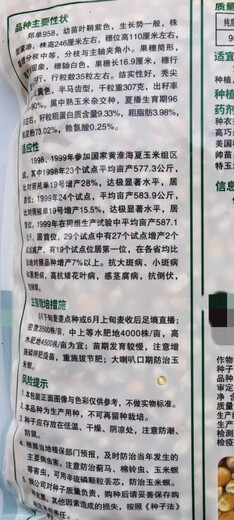 Hefeng three-line seed production Zhengdan 958 corn seed, high-yielding and disease-resistant farmhouse spring and autumn field hybrid corn (4200 grains) Hefeng Zhengdan 958