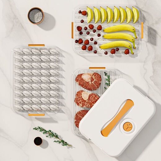 Xinyun Jiameng Dumpling Box Home Food Grade Kitchen Refrigerator Storage Box Organizer Wonton Box Quick Freezing Preservation Special Freezing Two Layers One Cover Holds 126 Dumplings Portable Timed Model A1 Food Grade PP Material - Freezable White