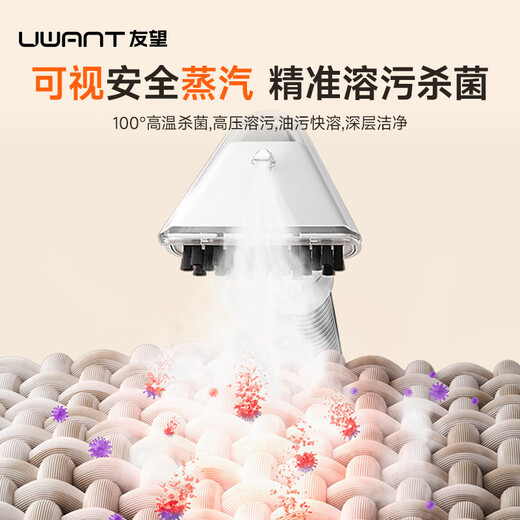 UWANT Große abstrakte Dampfreinigungsmaschine, Sofa-Teppich-Stoff-Reinigungsmaschine, Absaugung, integrierter Milbenentferner, multifunktionale Reinigungsmaschine, keine Notwendigkeit, Vorhänge zu entfernen, Sofa-Matratze, Teppich-Reinigungsmaschine, große abstrakte Dampf