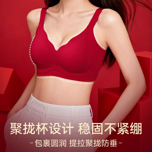 Langsha's zodiac year red underwear for women in the year of the horse, Qi Ji red small breasts push-up wedding underwear set sexy seamless bra