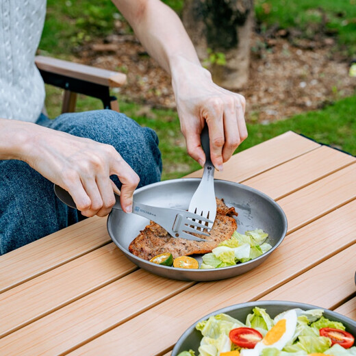 SACHUI pure titanium camping picnic tableware outdoor bottle opener knife, fork and spoon multi-function five-in-one lightweight portable titanium alloy pure titanium five-in-one multi-function spoon and fork