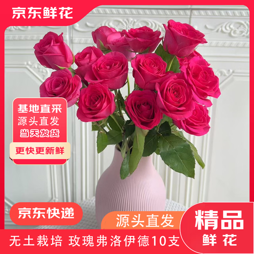 Jingdong Flowers Boutique Water-cultured Soilless Culture New Year's Eve Flowers Valentine's Day Rose Floyd 10 Pack 50CM Straight from the Source