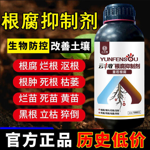 Yunfeng Harvest Root Rot Agent, Root Rot Nemesis, Yellow Leaves, Rotted Roots, Rotted Trees, Rooted Activated Soil, Factory Direct Sales, 1000g*12 Bottles, Exclusive Factory Price for Large Customers