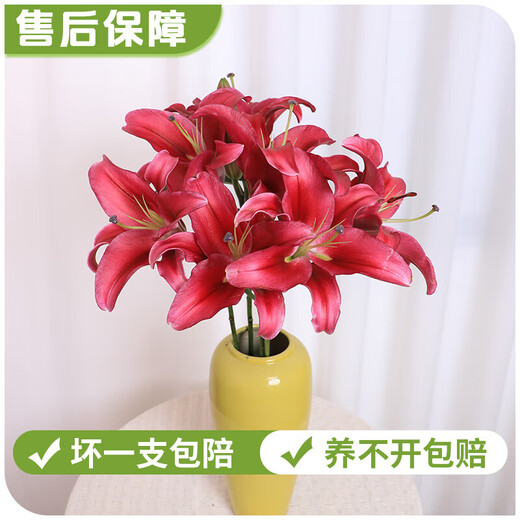AB grade high-quality perfume lily flowers, hydroponic flower arrangement, home life water-raised fresh-cut roses from Yunnan, straight hair, high quality, AB grade random color large buds, 10 lilies + preservative