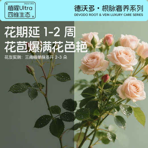 Dewoduohuaduoduo No. 2 flowering promotion 300g growth-promoting water-soluble fertilizer foliar fertilizer gardening flower green plant flower fertilizer