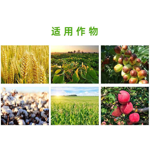 Baoying 20% Phenylpeptidine Soybean, Pepper, Rape, Tomato, Citrus, Flower and Fruit Preserving Pesticide Growth Regulator 500g
