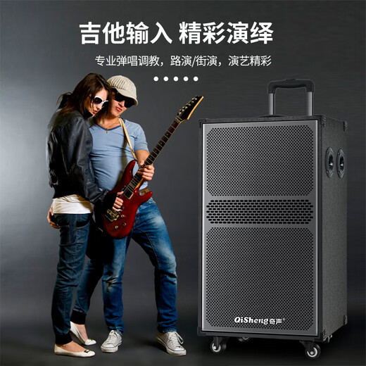 QISHENG LX-L63/L64 speaker trolley live broadcast outdoor karaoke wireless portable Bluetooth square dance speaker LX-L63 twelve-inch speaker