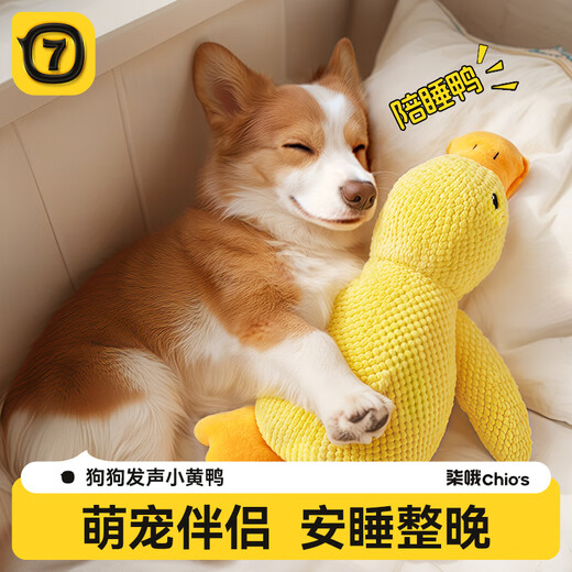 Qi Oh Dog Toy Resistant to Bite and Molars, Sound Toy for Medium and Large Dogs, Border Collie Corgi, Boredom Relief Artifact, Pet Supplies, Sound Toy, Charge Duck, Small Size 22*25cm