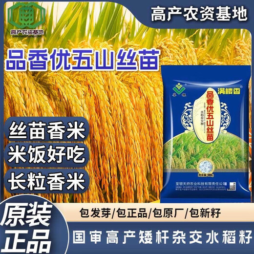 Wangyuan Xingsi Miao Гибридные семена риса Подлинные Pinxiangyou Wushan Silk Miao Сладкие ароматные семена риса Высокоурожайные семена риса 2025 Новые семена ароматного риса Silk Miao Один Jin Jin равен 0,5 кг