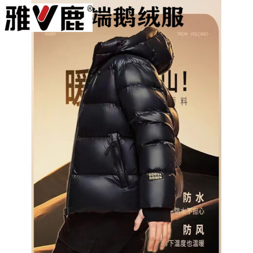 Yalu Black Gold Five-Check Goose Down Jacket Men's Winter Short Jacket Large Size High-end Fashion Brand Jacket S (80-100Jin Jin is equal to 0.5kg)