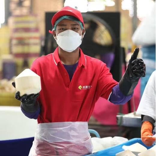 Fruit Pier Thailand Easy to Open Coconut Green Big Fruit Healthy Natural Drink for Pregnant Women and Children Easy to Open Coconut 9 Tablets Original Box Family Pack (Recommended)