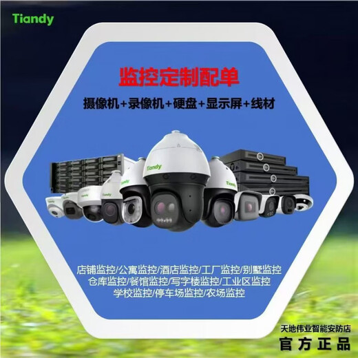 Tiandy monitoring complete set with single customized monitoring solution configuration monitoring set mobile phone remote 18-channel 4 million smart alert customized set