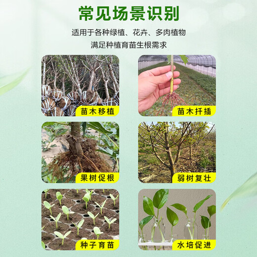 Genpan 5% indoconaphthalene acetic acid seedlings, flower cuttings, transplanting rooting liquid agent, seedling strengthening agent, pesticide regulator Guoguang Genpan 200 ml * 1 bottle