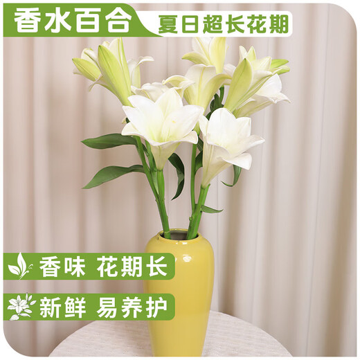 AB grade high-quality perfume lily flowers, hydroponic flower arrangement, home life water-raised fresh-cut roses from Yunnan, straight hair, high quality, AB grade random color large buds, 10 lilies + preservative