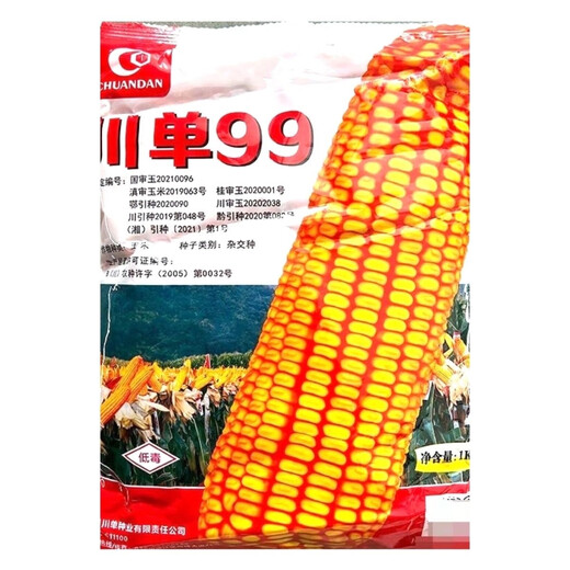 川单99玉米种子抗病耐高温 2斤*1包