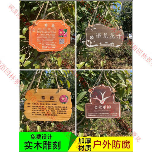 Arbor Day tree sign, flowers and trees introduction sign, plant name tag, kindergarten adoption anti-corrosion signage customization 24*18CM Paulownia tree sign one (amber)