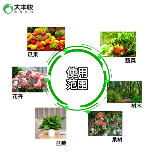 丰满龙复合肥15-15-15高浓度硫酸钾氮磷钾平衡肥果树蔬菜花卉通用 平衡复合肥4.5kg