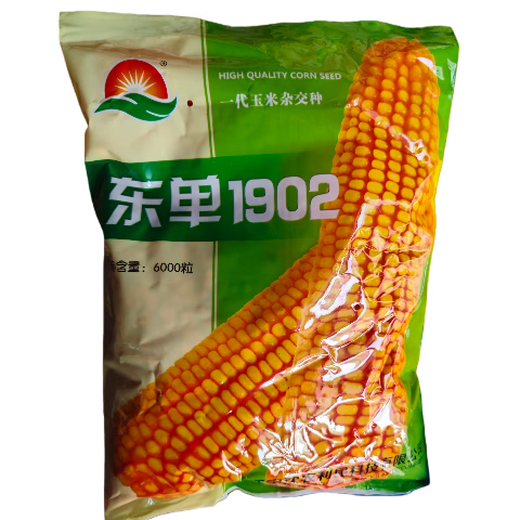 Семена кукурузы Fuyou Dongdan 1902 устойчивы к полегающей ржавчине и устойчивы к полегающей ржавчине.