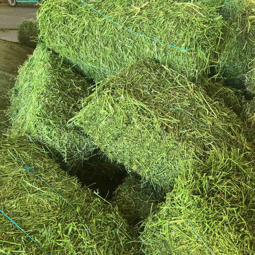 Alfalfa hay, fodder for cattle, sheep and horses, alfalfa fodder for alpacas, large zoo feed, alfalfa 50kg