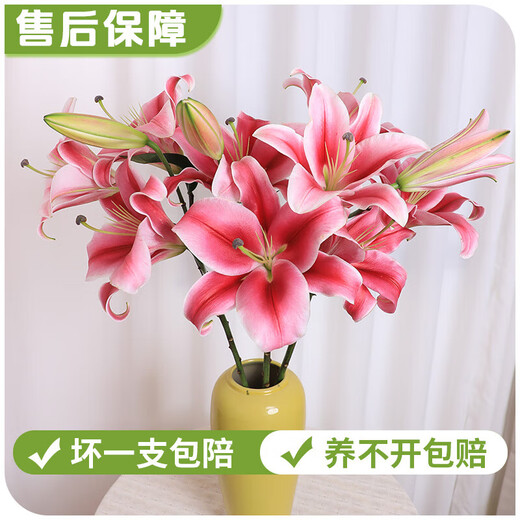 AB grade high-quality perfume lily flowers, hydroponic flower arrangement, home life water-raised fresh-cut roses from Yunnan, straight hair, high quality, AB grade random color large buds, 10 lilies + preservative