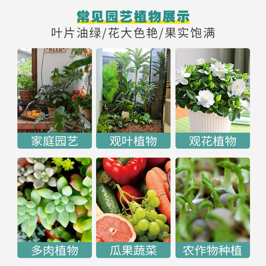 Soil Activator Loose soil, activate soil, prevent hardening, repair soil, promote plant root growth. Paiyifa 2 Soil Activator