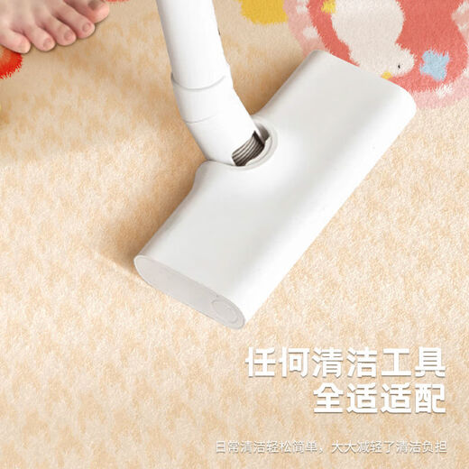 Japanese Unprinted Cute Carpet Irregular Shaped Living Room Sofa Floor Mat Pink Dopamine Girls Bedroom Wipeable Dream Castle Sweetheart 1 120cm 160cm