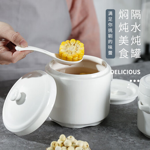 Xushansi bone china stew pot, bird's nest stew pot, water-proof ceramic stew pot, double lid crock pot, soup stew pot, household bowl, 1 pure white 400ML