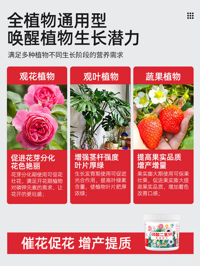 领沃磷酸二氢钾肥料花卉专用三角梅磷肥家用钾肥花肥盆栽正品农用爆花 磷酸二氢钾500g*4罐