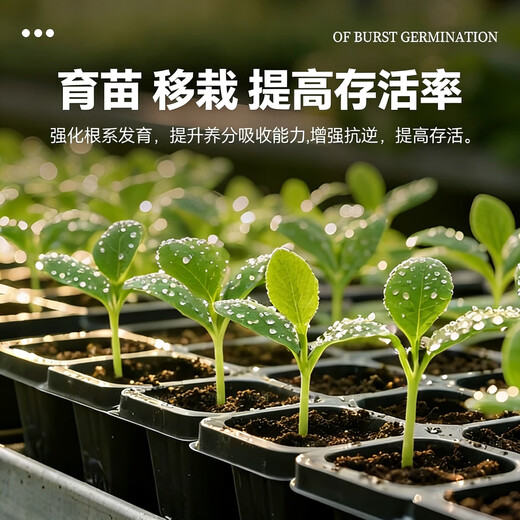 5% indole butyric acid, naphthalene acetic acid, general flower seedling cuttings, rapid rooting liquid, rooting and seedling strengthening agent 100g bag, explosive rooting liquid 10 bags