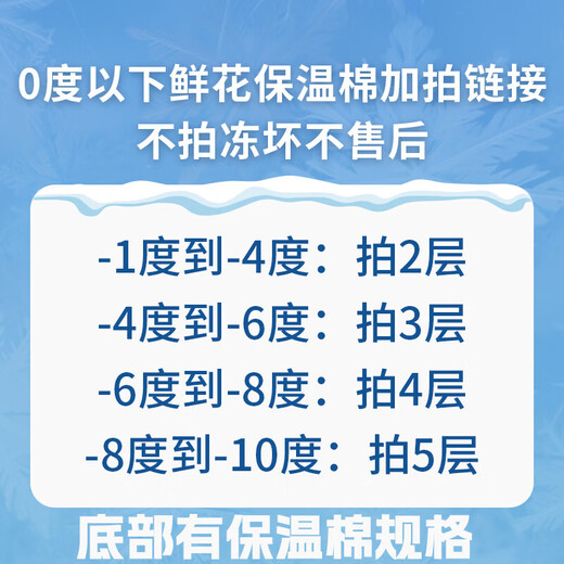 AB grade high-quality perfume lily flowers, hydroponic flower arrangement, home life water-raised fresh-cut roses from Yunnan, straight hair, high quality, AB grade random color large buds, 10 lilies + preservative